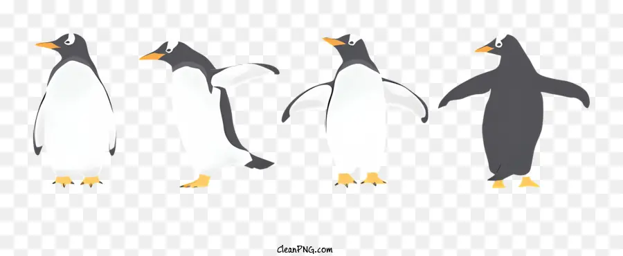 Les Pingouins，Ailes PNG