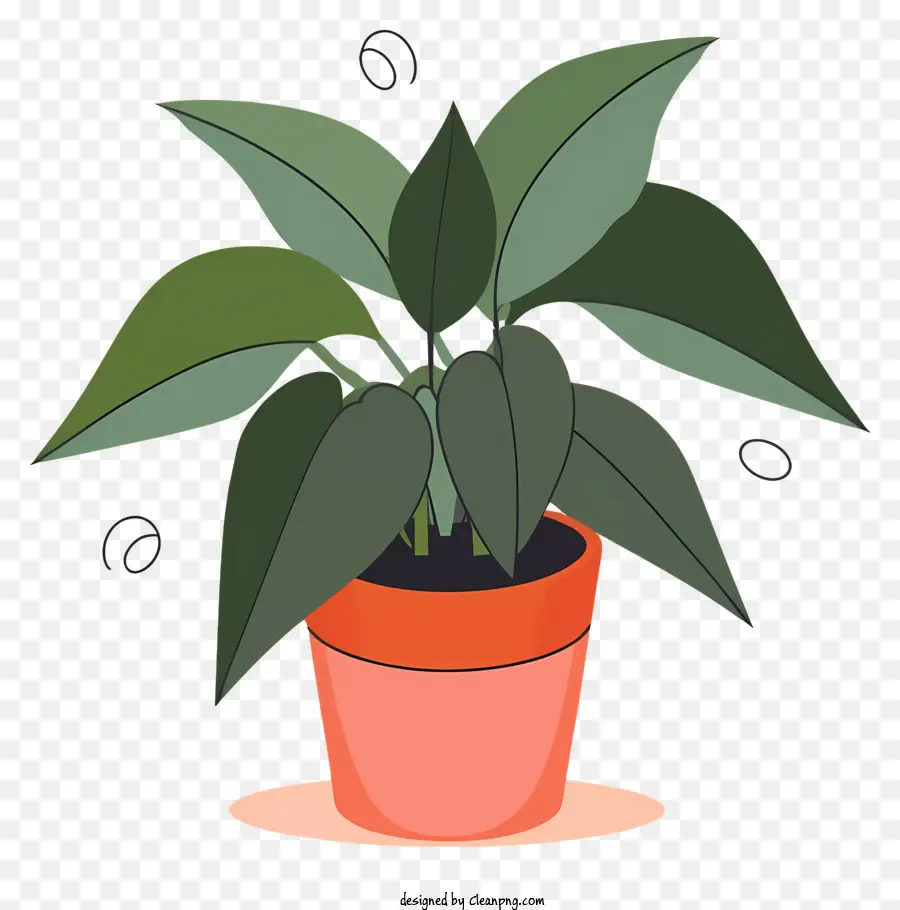 Plante En Pot，Plante Verte PNG