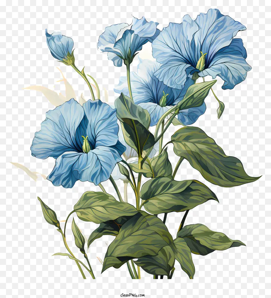 Fleurs Bleues，Fleurs Stylisées PNG
