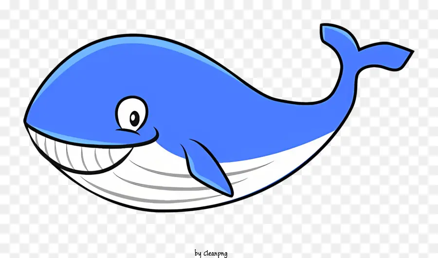 Baleine Souriante，Baleine PNG