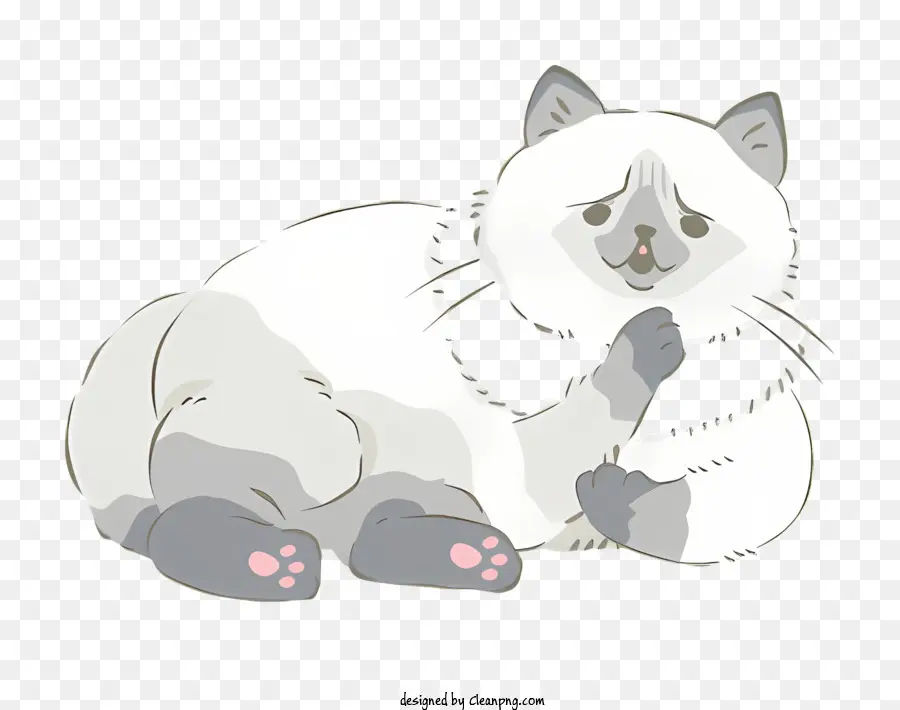 Chat De Dessin Animé，Chat Couché PNG