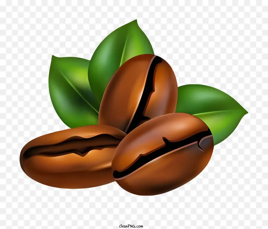 Café，Grains De Café Et Feuilles PNG