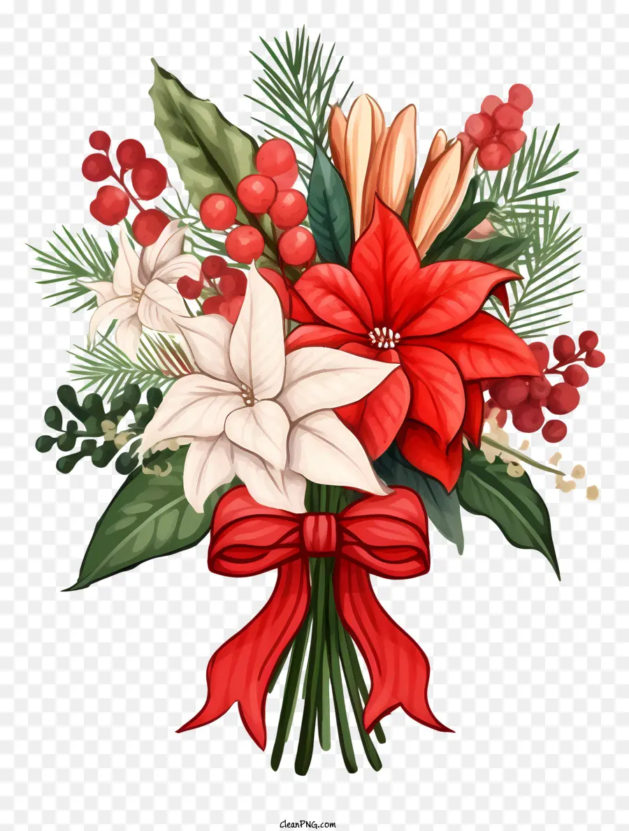 Bouquet De Noël Dessiné à La Main，Poinsettias PNG