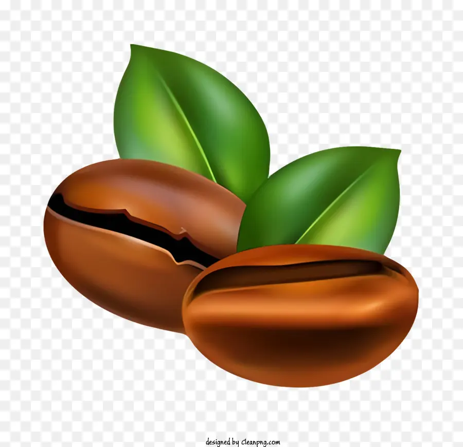 Café，Café En Grains PNG