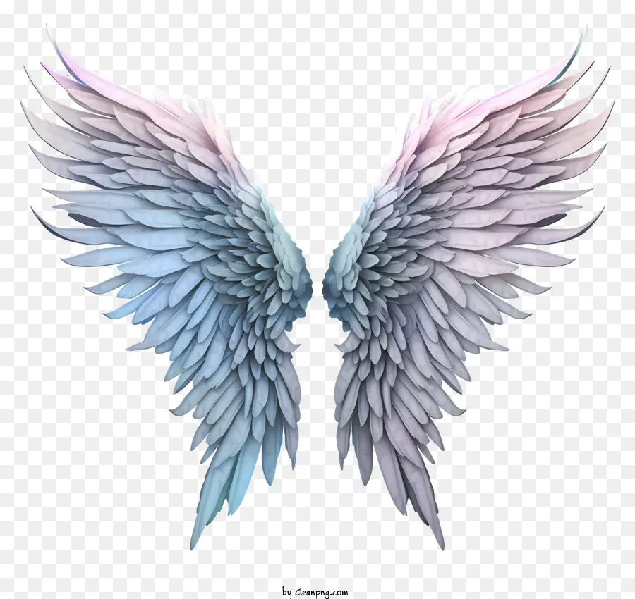 Ailes D'ange Pastel，Ailes Blanches Et Bleues PNG