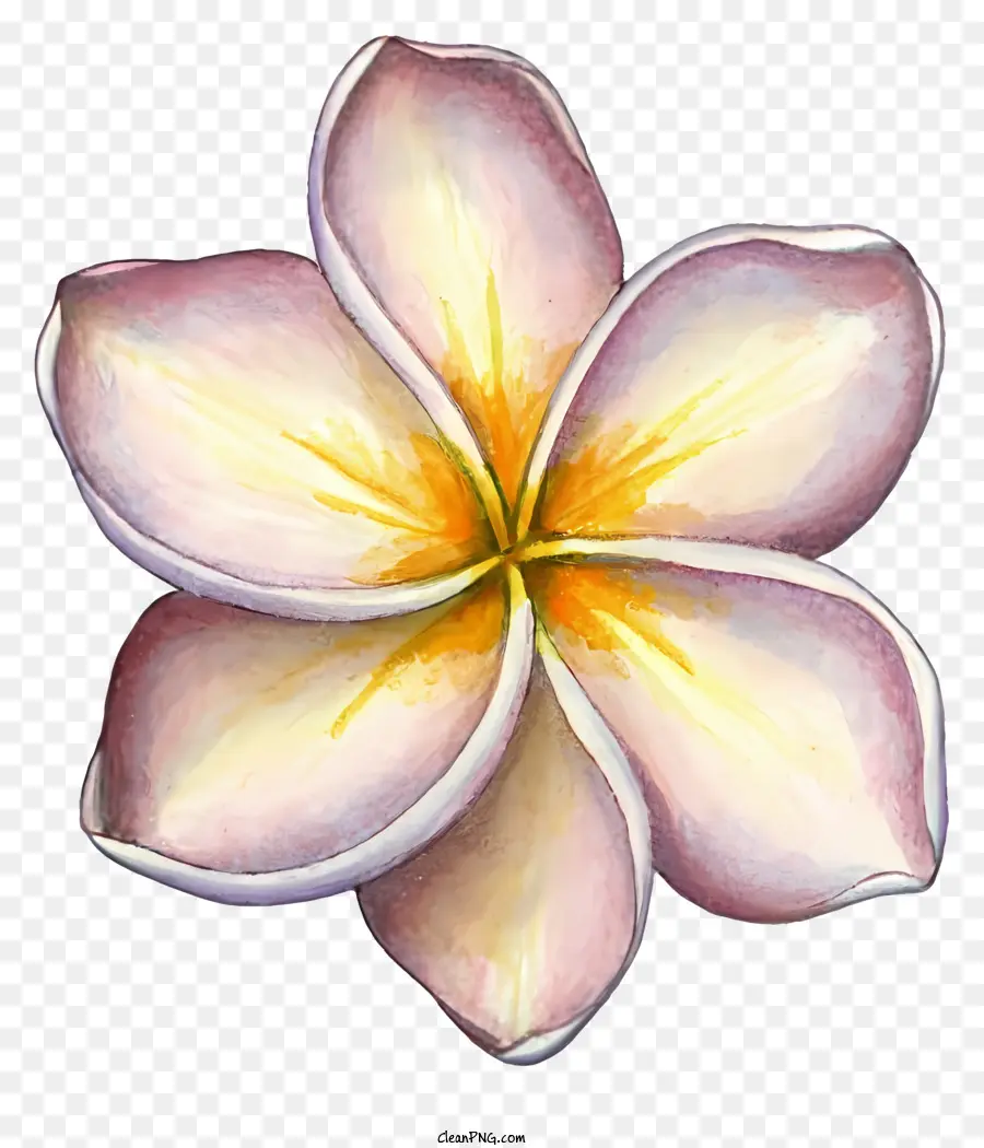 Dessin Animé，Fleur Rose PNG