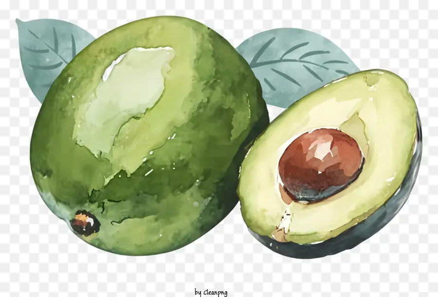 Dessin Animé，Avocat PNG