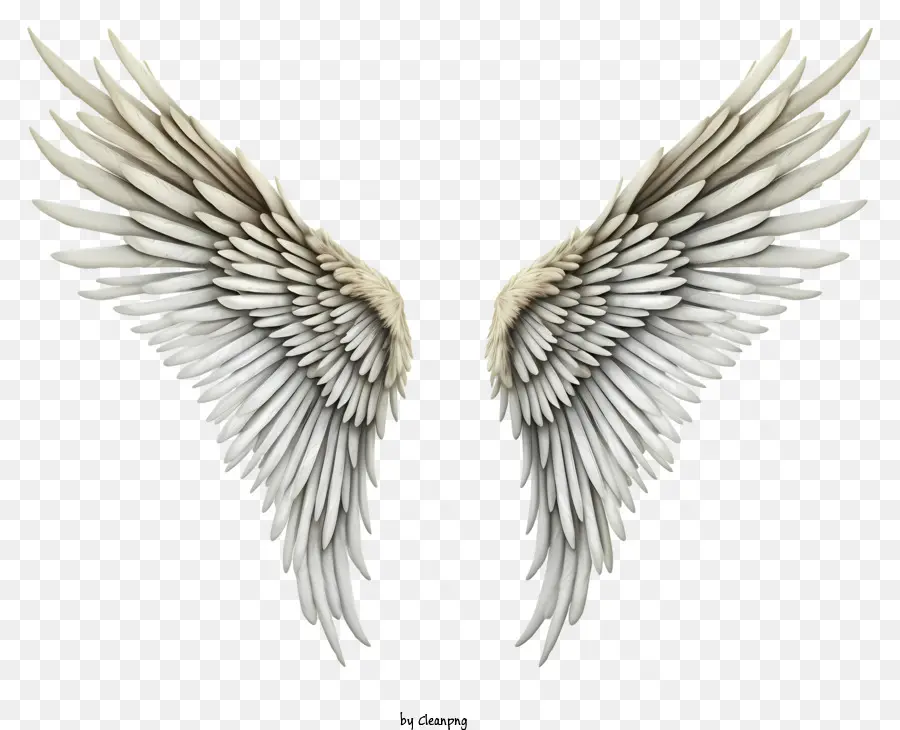 Cartoon Angel Wings，Ailes PNG