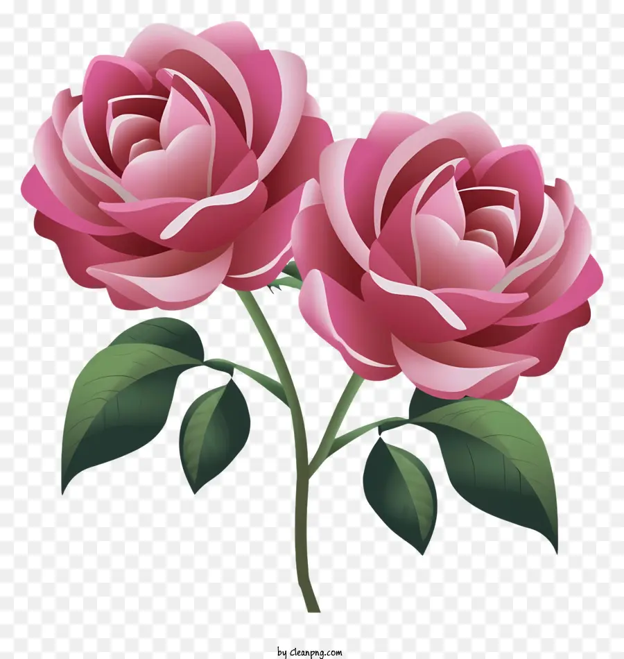 Dessin Animé，Les Roses Roses PNG