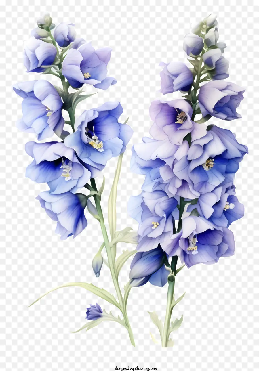 Delphinium Flower Art，Fleur Bleue PNG