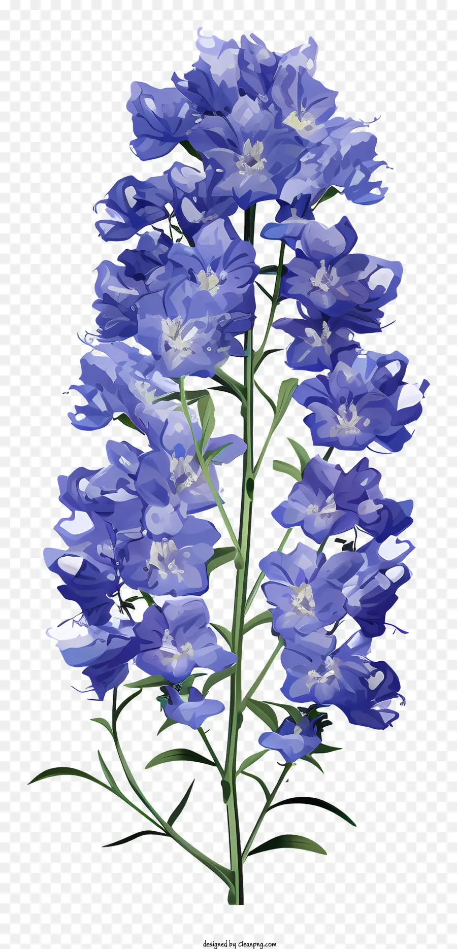 Tasse De Fleur Delphinium，Fleur De Bluebell PNG