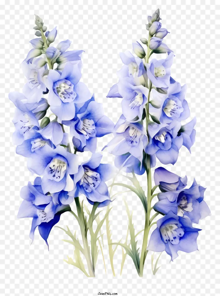 Delphinium Flower Art，Fleur Bleue PNG