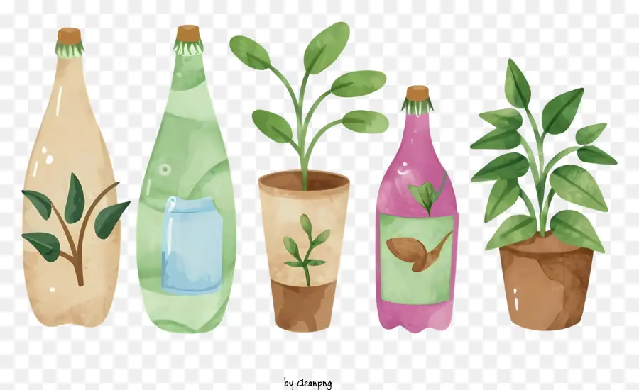 Dessin Animé，Bouteille De Jardin PNG