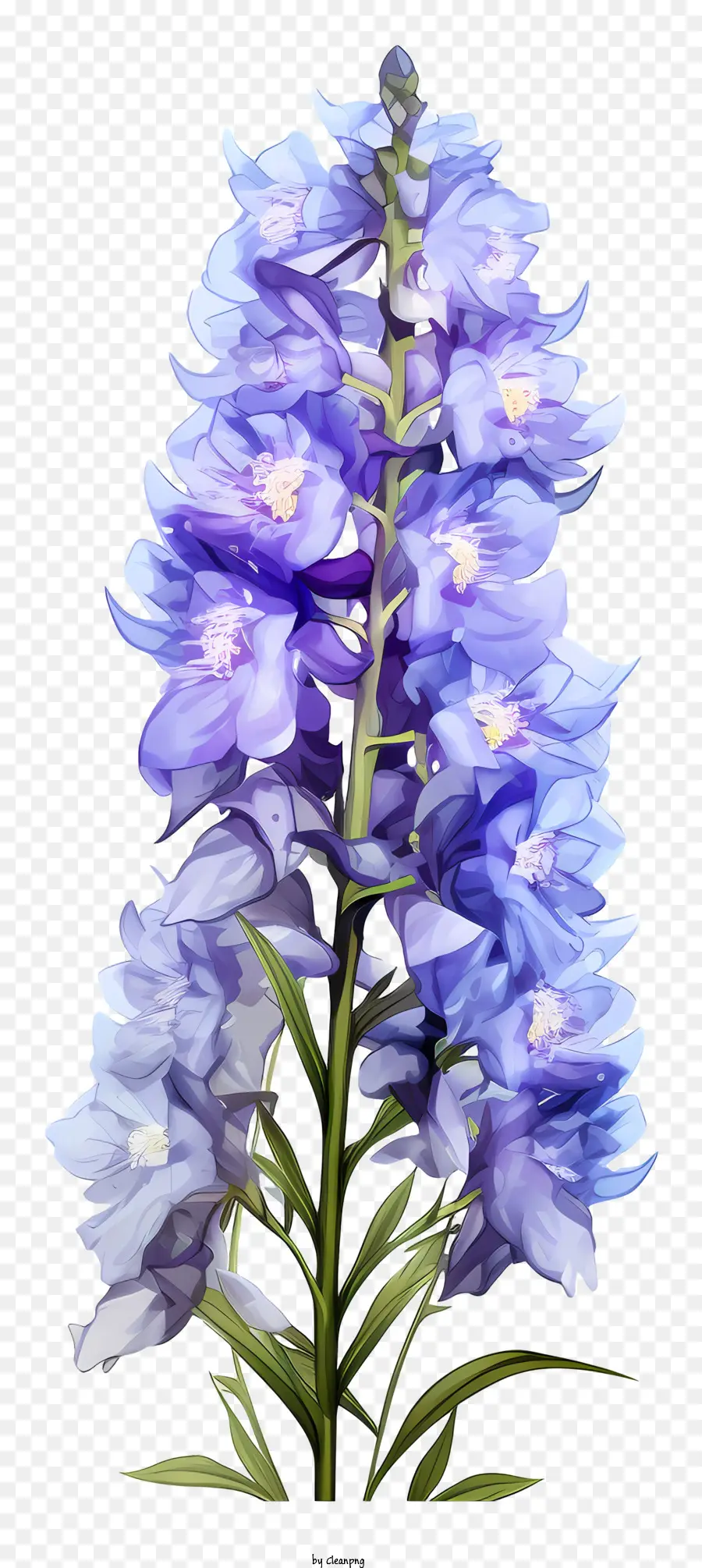 Fleur De Doodle Delphinium，Bleu Hortensia PNG