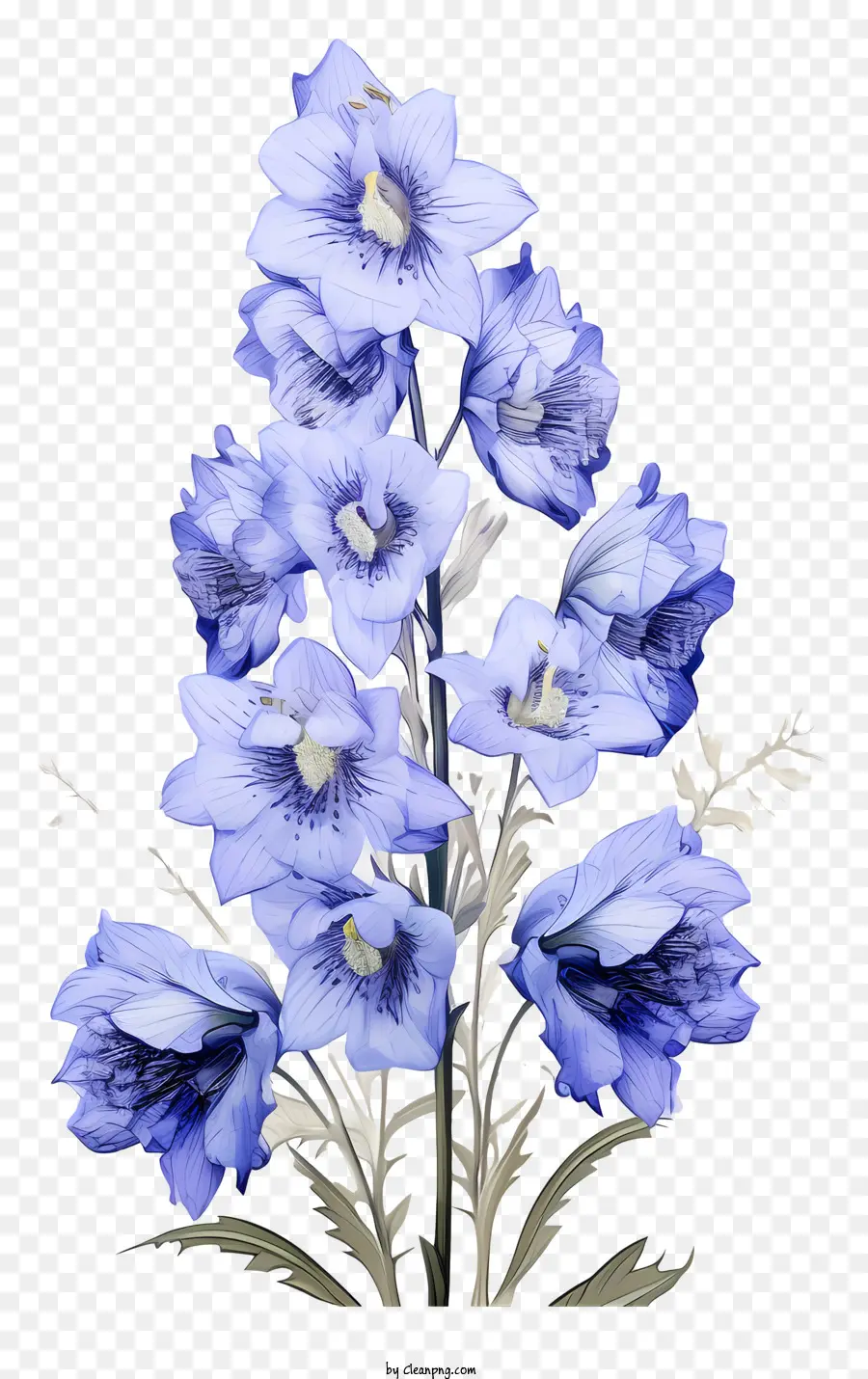 Fleur De Delphinium Doodle，Fleurs Bleues PNG