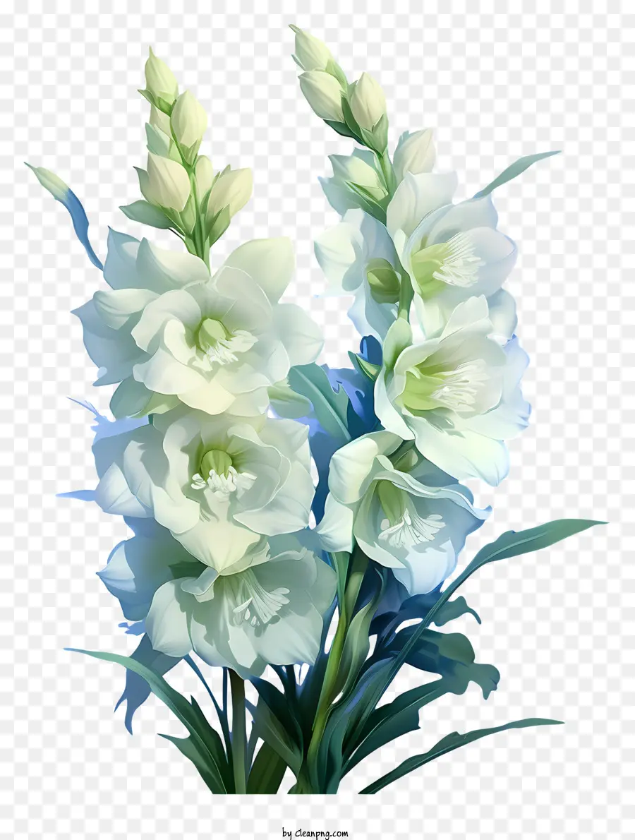 Fleur élégante Delphinium，Fleurs Blanches PNG