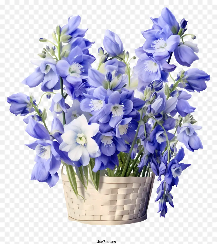 Panier De Fleur Delphinium Délicate，Bleus Et De Fleurs Blanches PNG