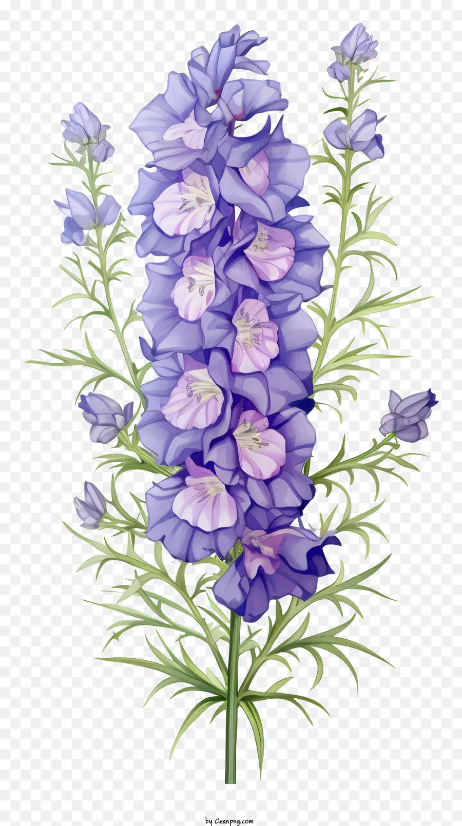 Fleur De Delphinium Pastel，Fleur Bleue PNG