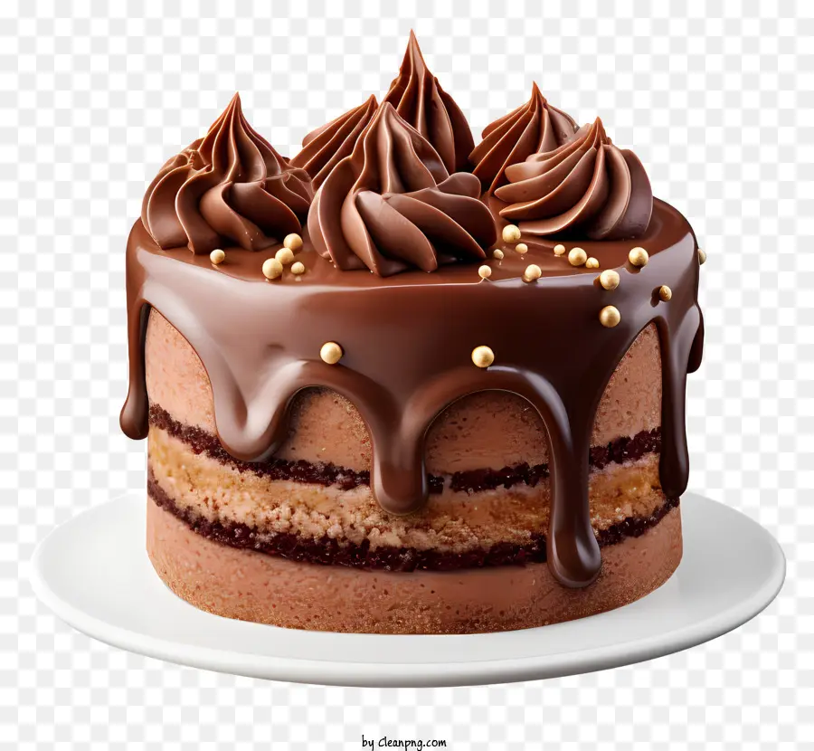 Recouvert De Chocolat Tout Les Jours，Gâteau Au Chocolat PNG