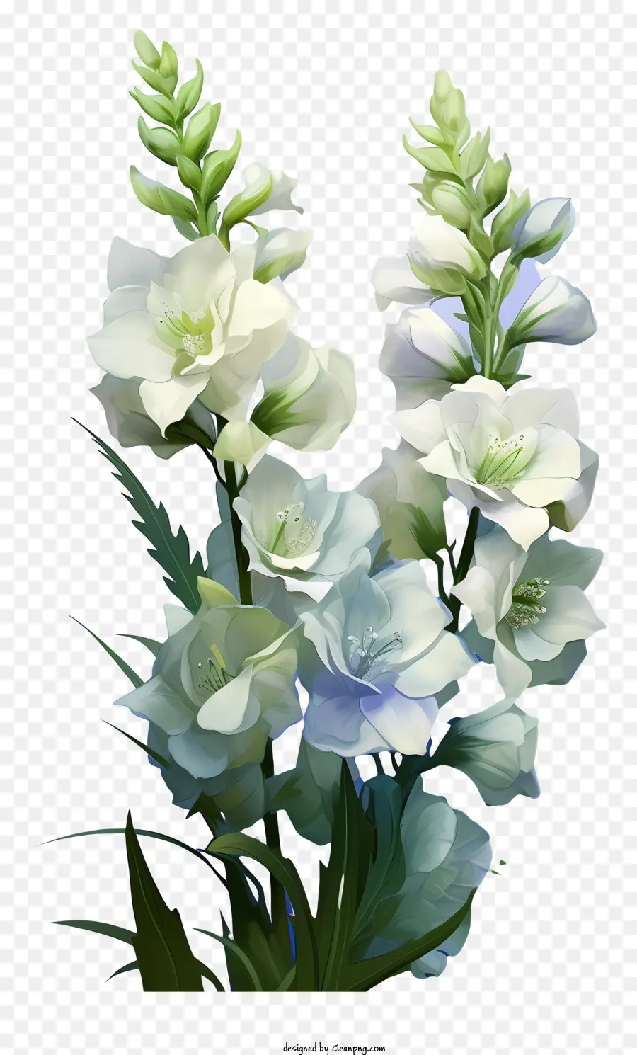 Fleur élégante Delphinium，Fleurs Blanches PNG