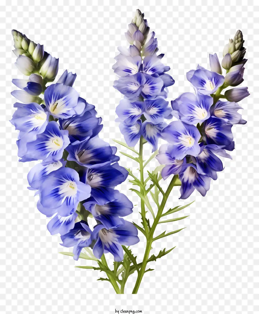 Tasse De Fleur Delphinium，Fleurs Pourpres PNG