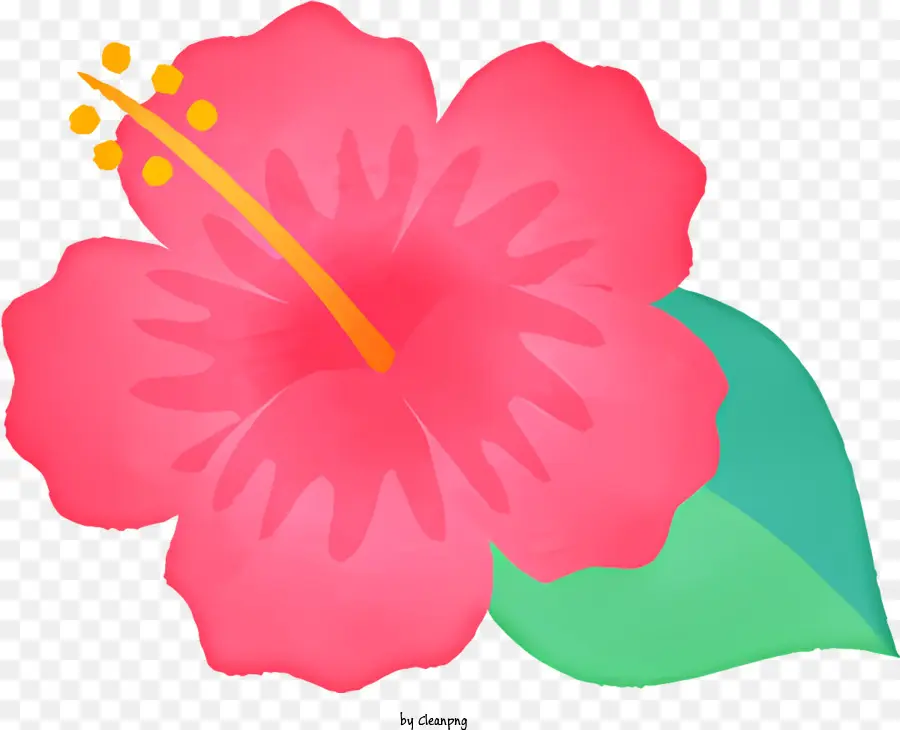 Dessin Animé，Rose Fleur D'hibiscus PNG