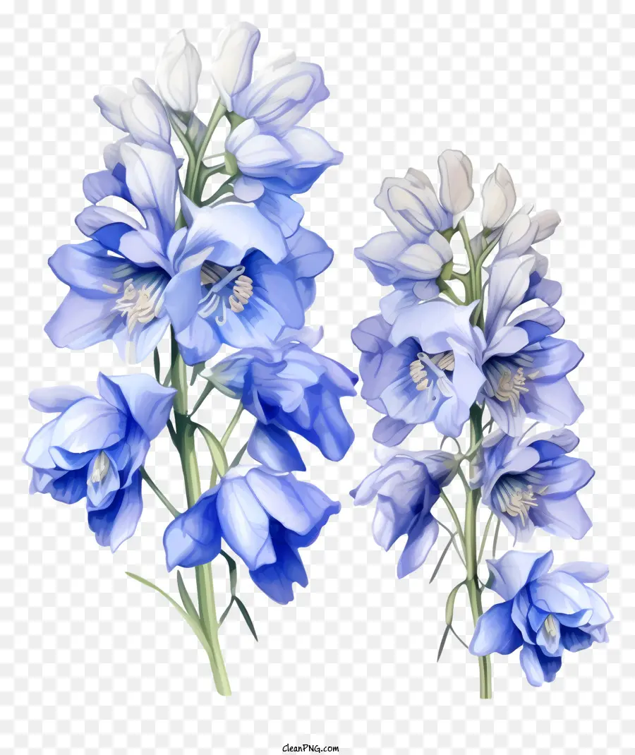 Fleur De Doodle Delphinium，Fleurs Bleues PNG
