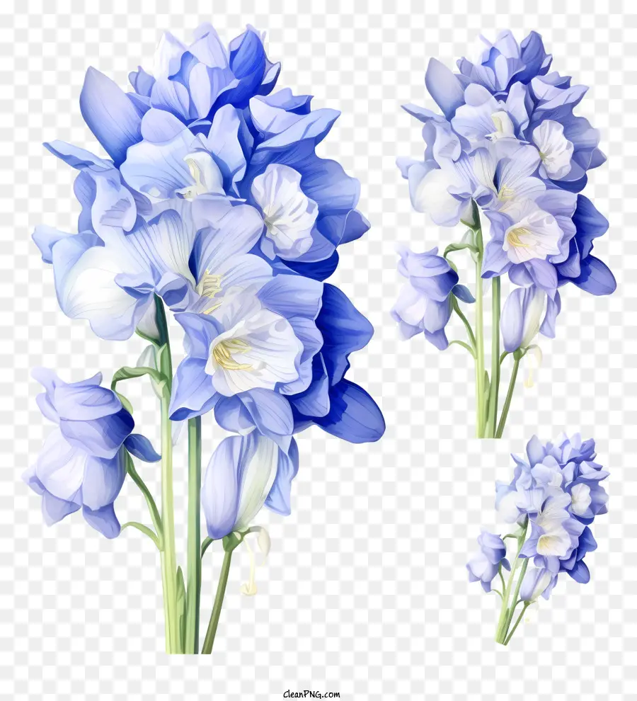 Fleur De Doodle Delphinium，Bouquet PNG