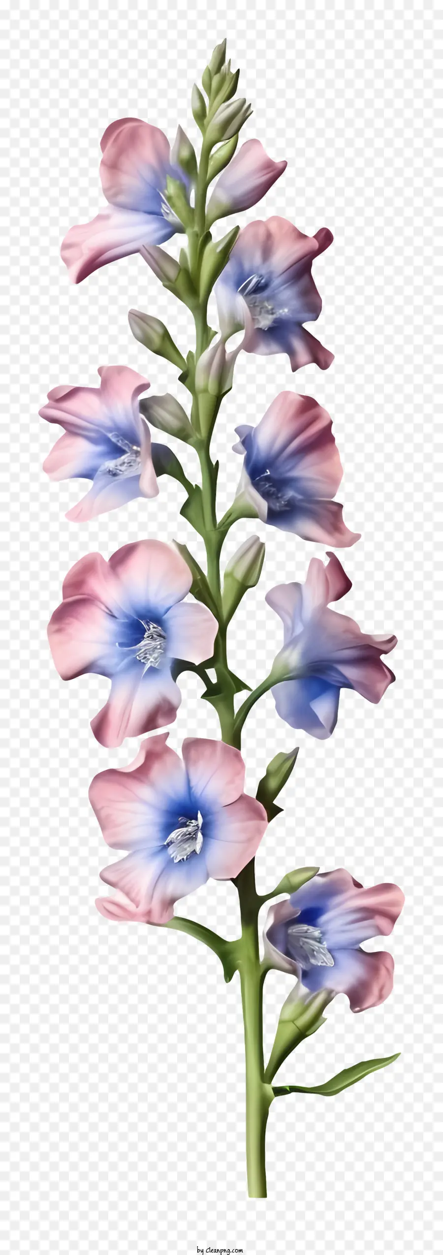 Fleur De Delphinium 3d Réaliste，Fleur Rose PNG
