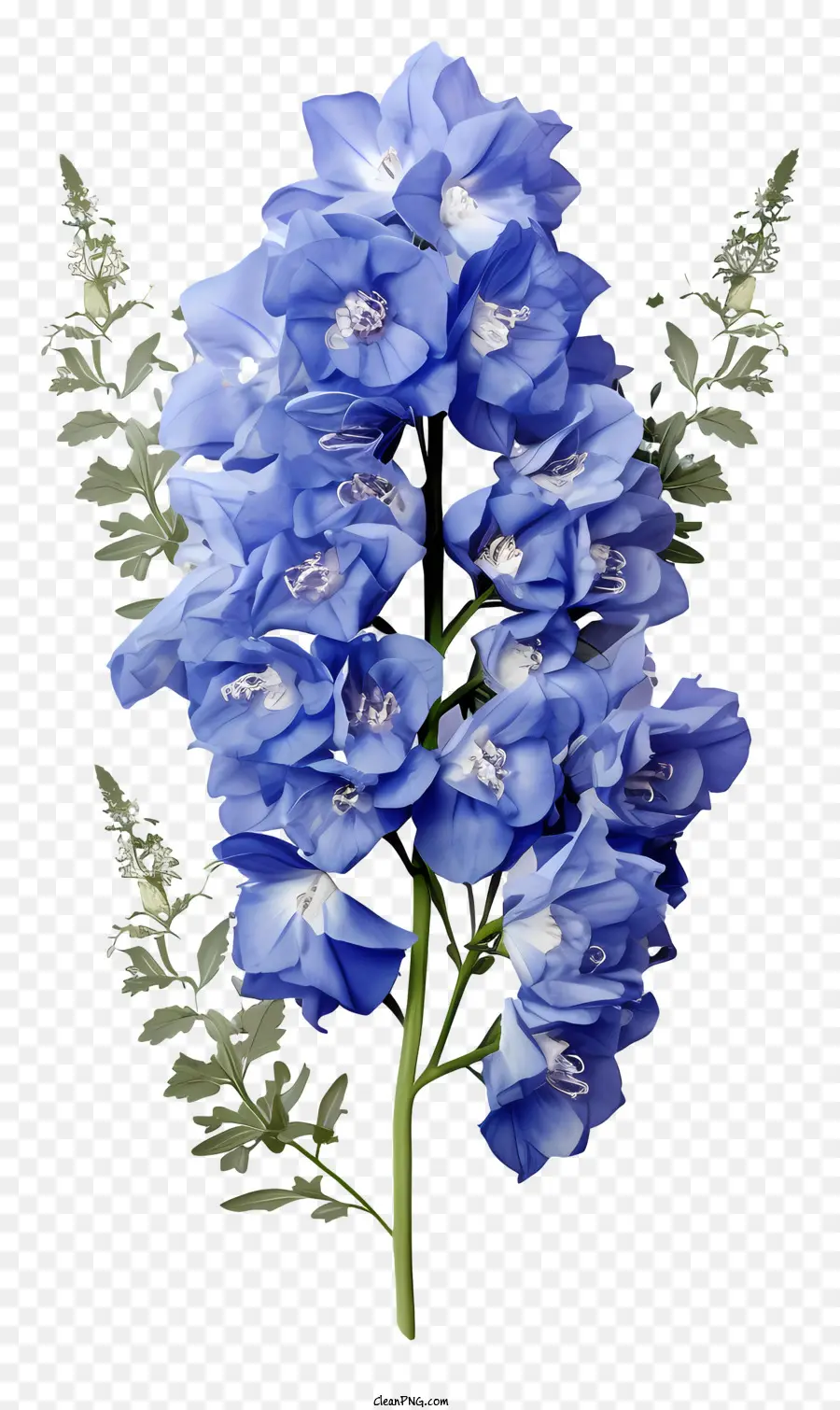 Tasse De Fleur Delphinium，Fleurs Bleues PNG
