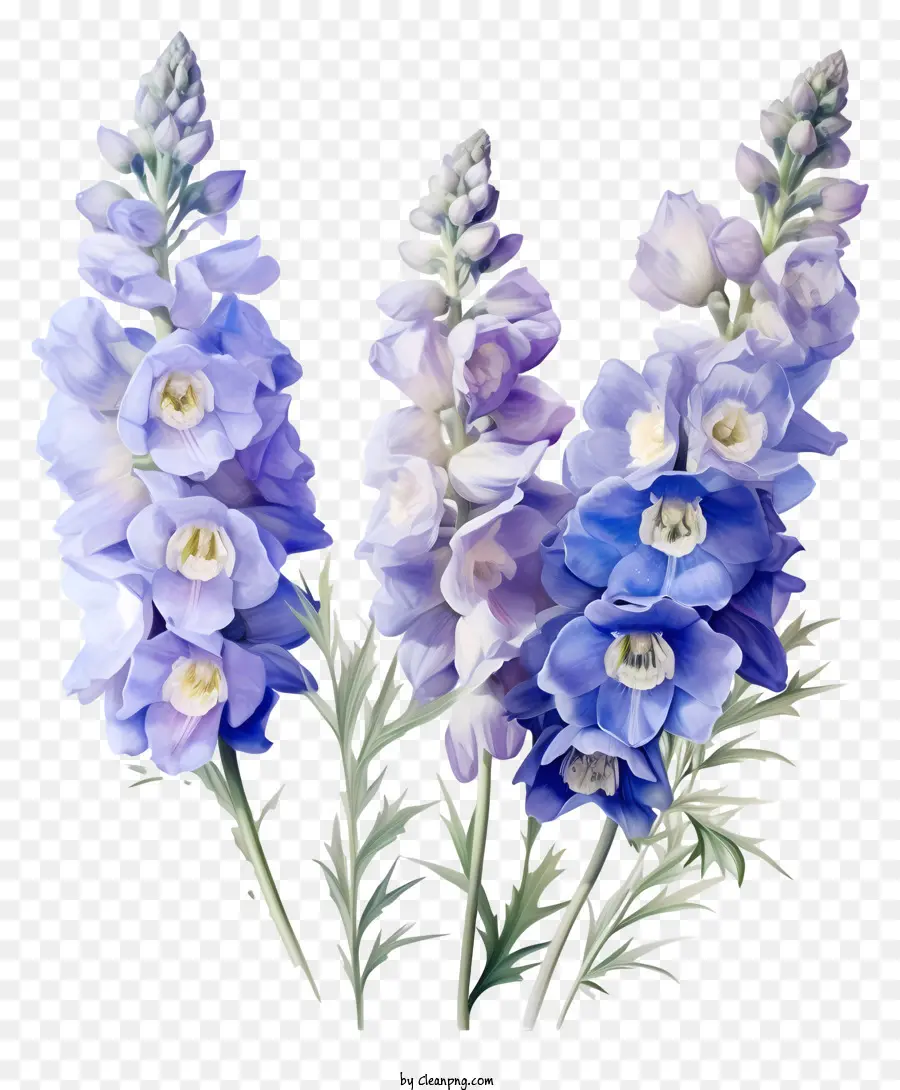Groupe De Fleurs Delphinium Dédié，Fleur Bleue PNG