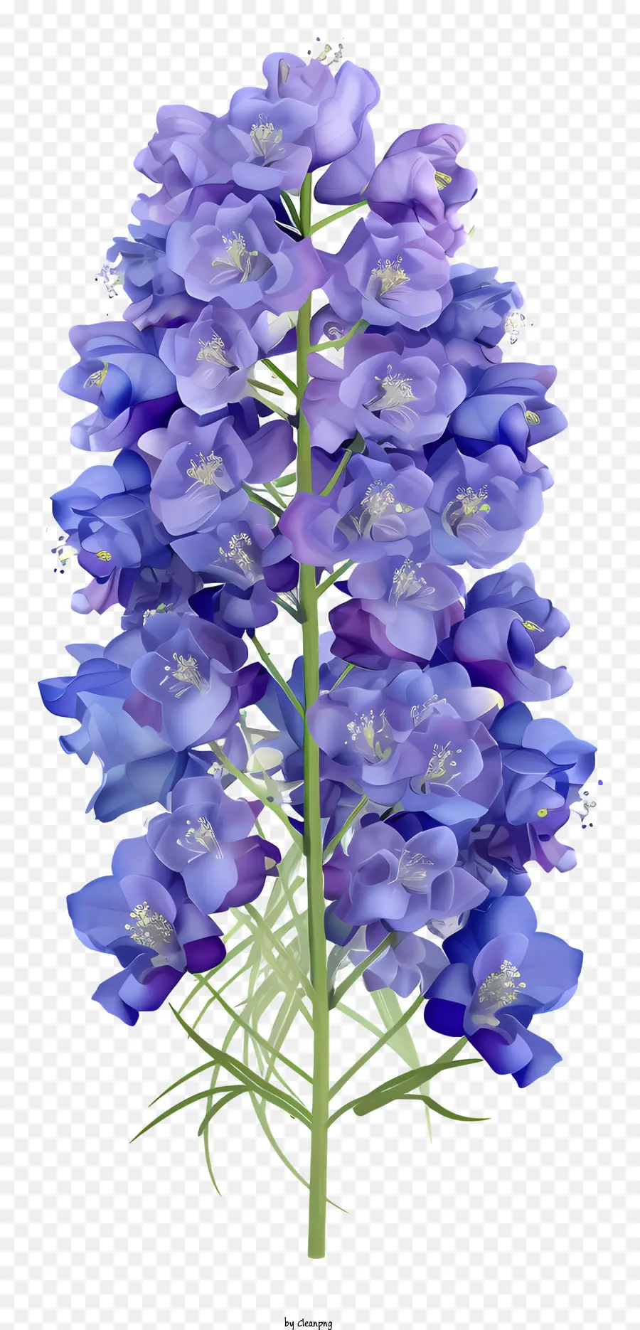 Tasse De Fleur Delphinium，Lupin Violet PNG