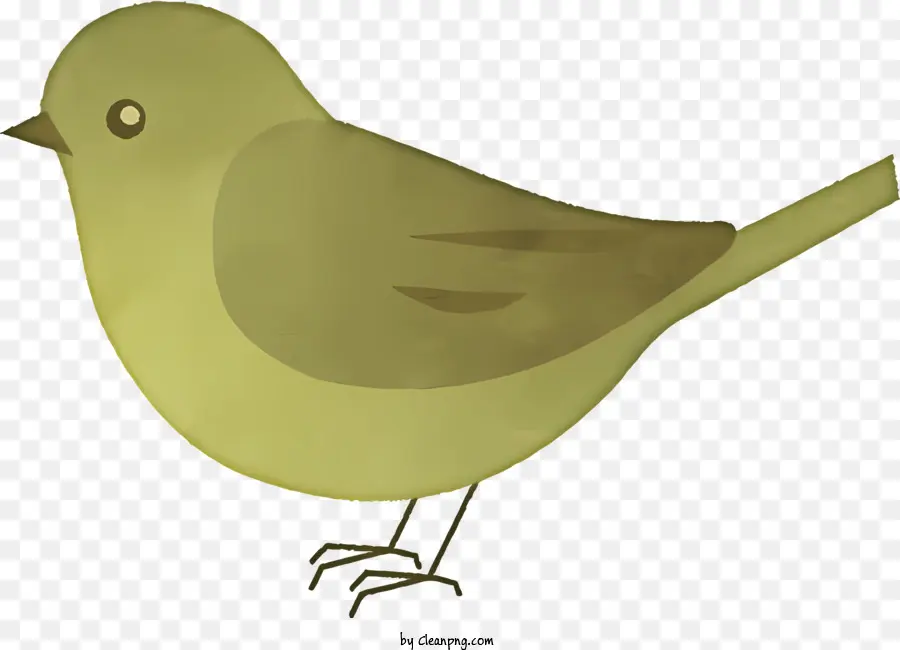 Dessin Animé，Oiseau PNG