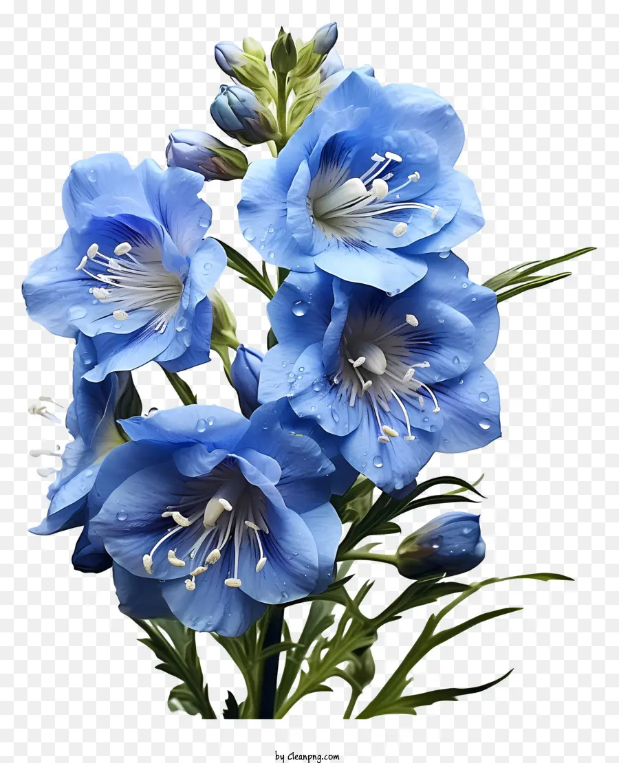 Fleur Delphinium，Fleur Bleue PNG