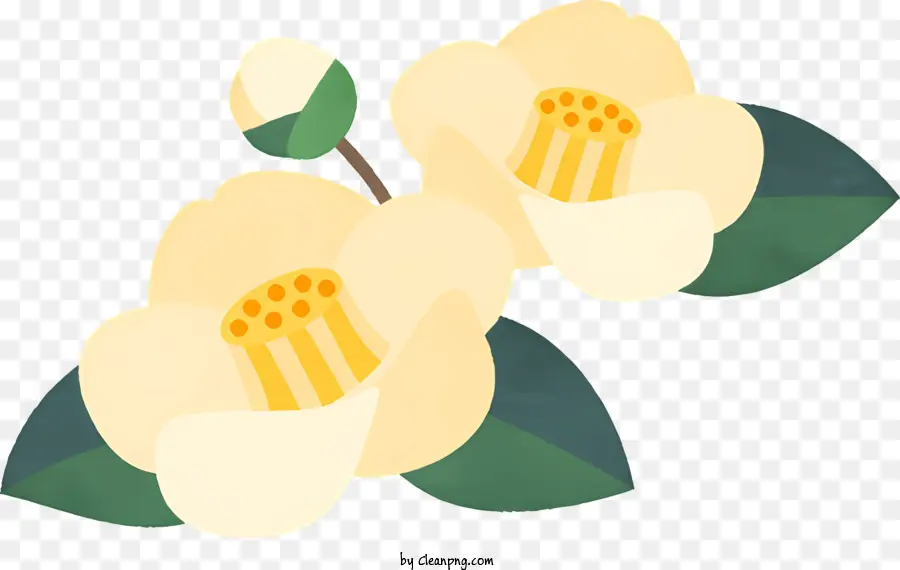 Dessin Animé，Fleurs Crème PNG