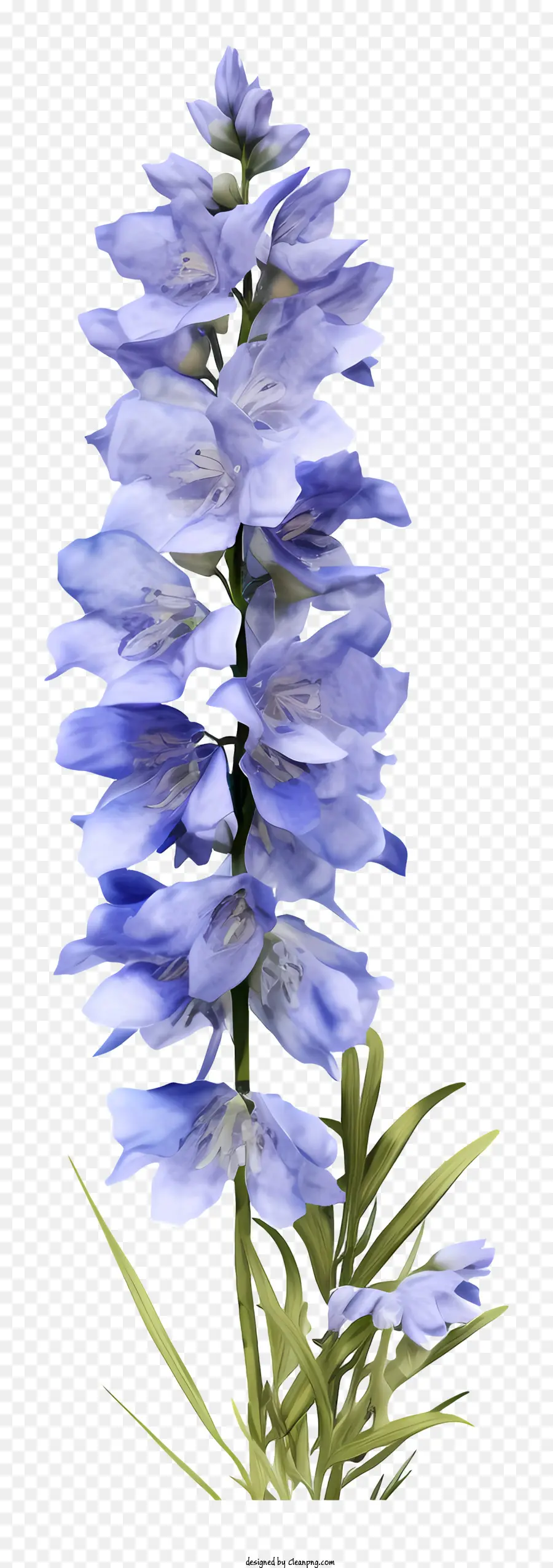 Fleur De Delphinium 3d Réaliste，Fleur Bleue PNG