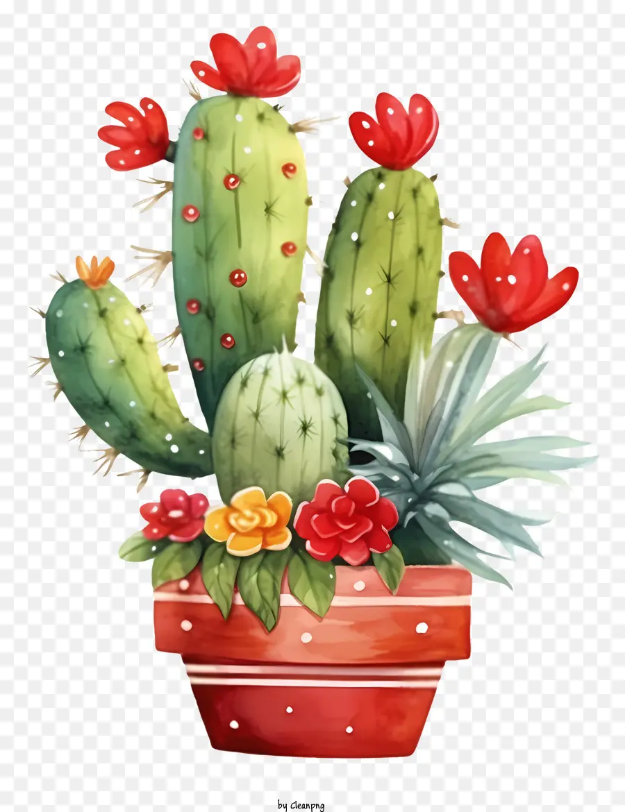 Dessin Animé，Cactus PNG