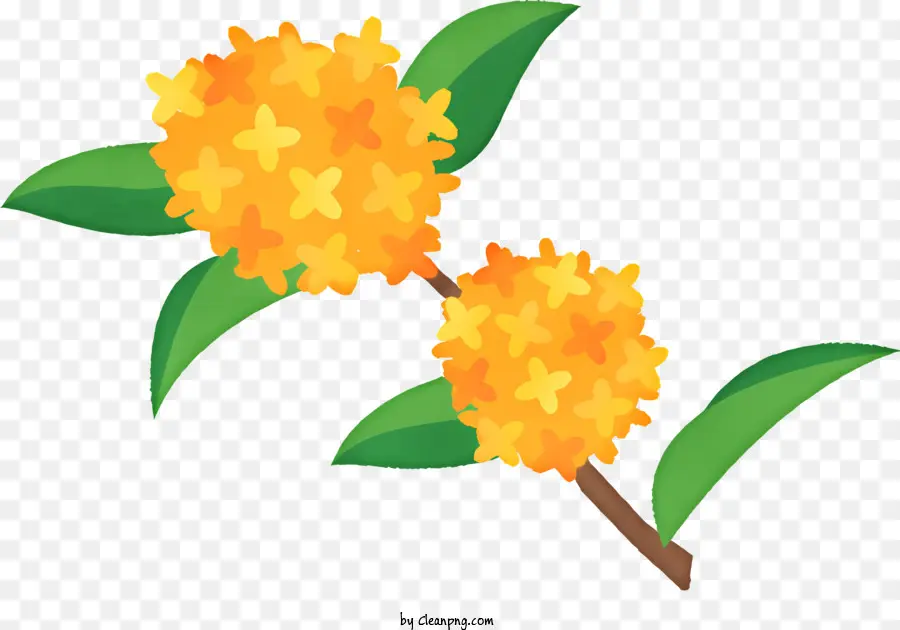 Dessin Animé，Fleurs Oranges PNG