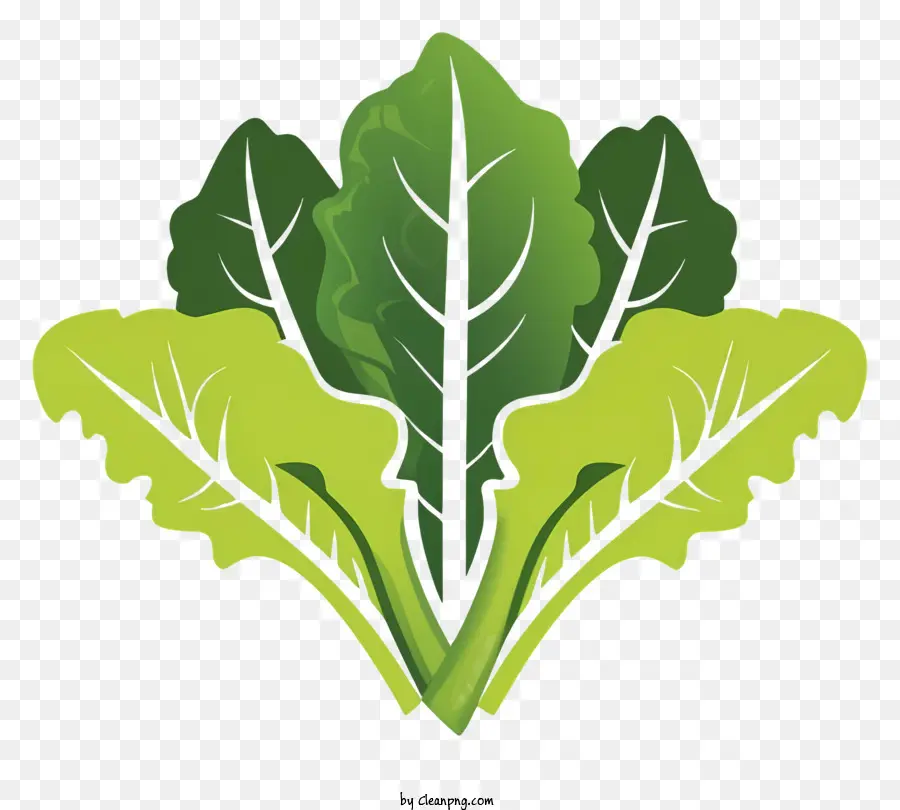 Dessin Animé，Légume à Feuilles Vertes PNG