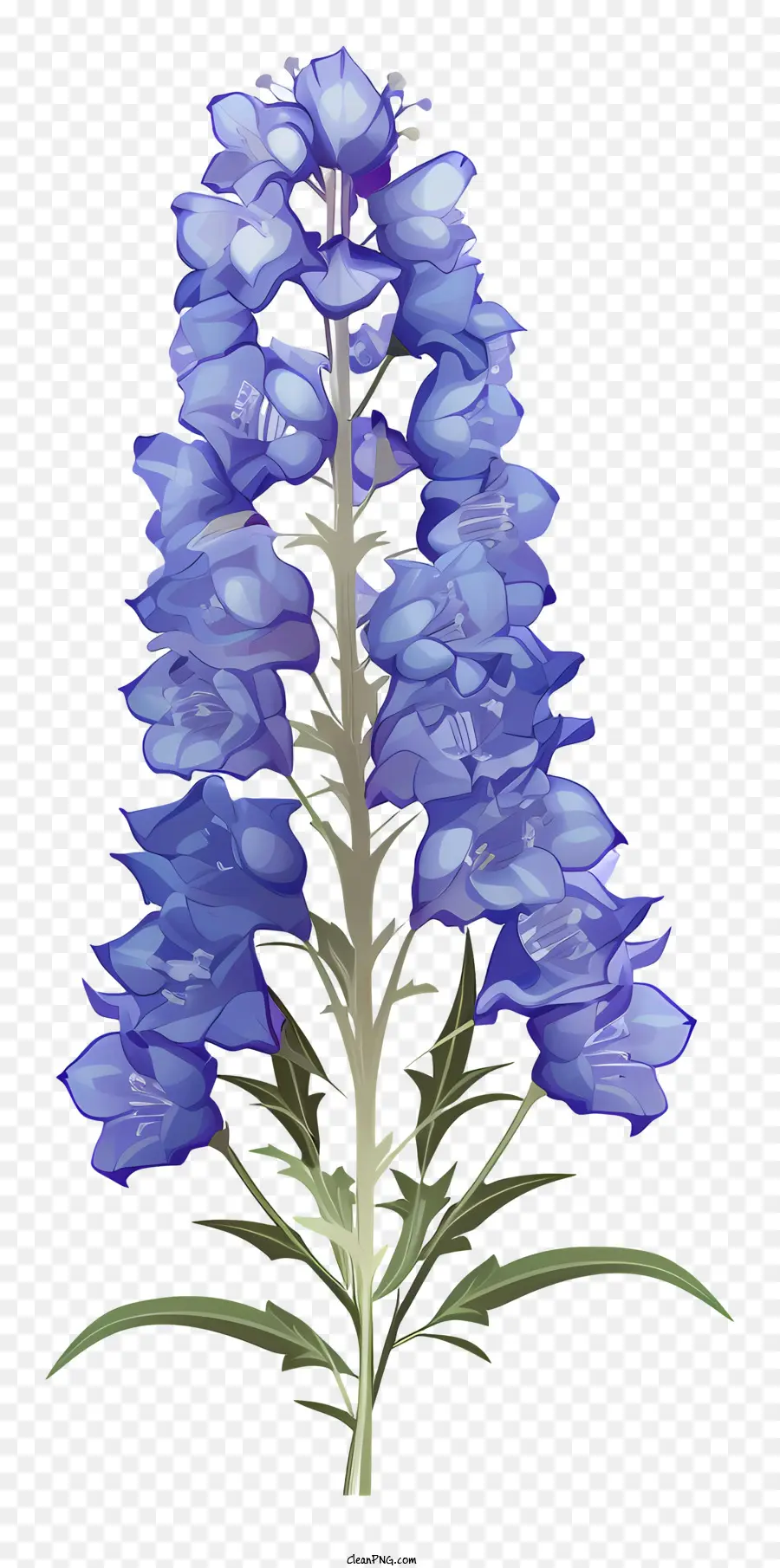 Dessin Animé Delphinium Fleur，Fleur Bleue PNG
