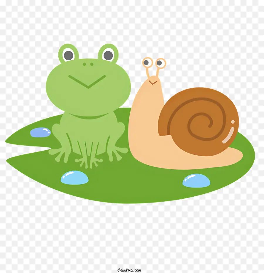 Dessin Animé，Grenouille Et Escargot PNG