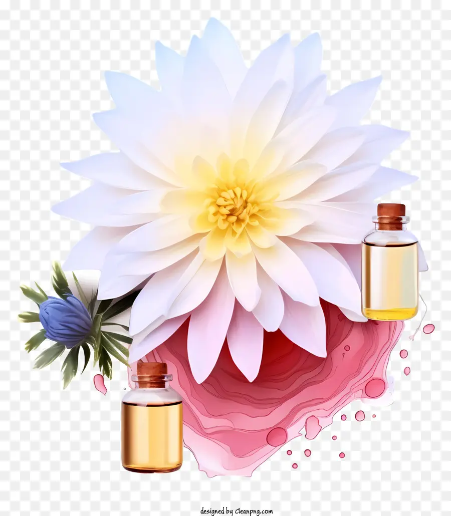 Thérapie Réaliste Aux Essences De Fleurs，Fleur Et Bouteilles PNG