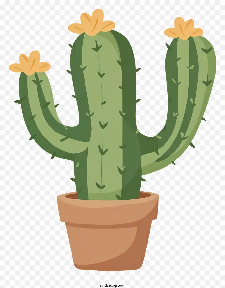 Dessin Animé，Cactus PNG