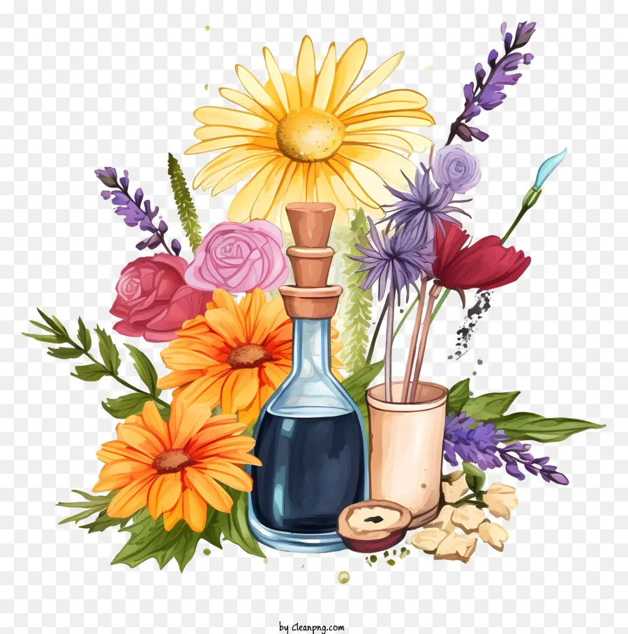 Sketch Flower Essences Therapy，Bouteille D'huile PNG