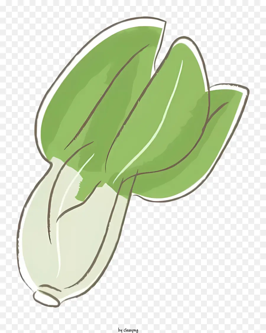 Dessin Animé，Bok Choy PNG