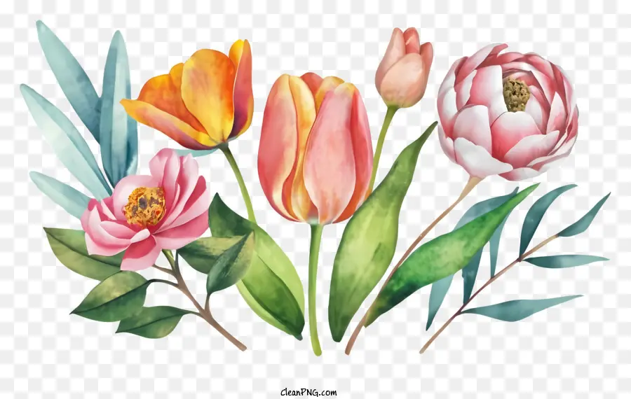 Dessin Animé，Les Tulipes PNG