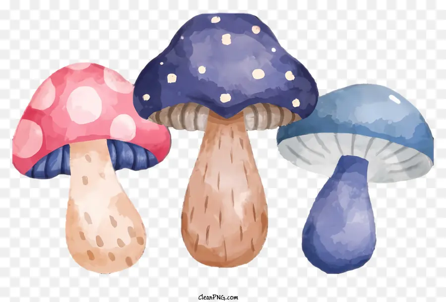 Dessin Animé，Champignons PNG