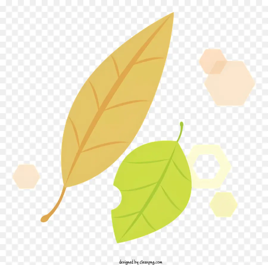 Dessin Animé，Feuilles D'automne PNG