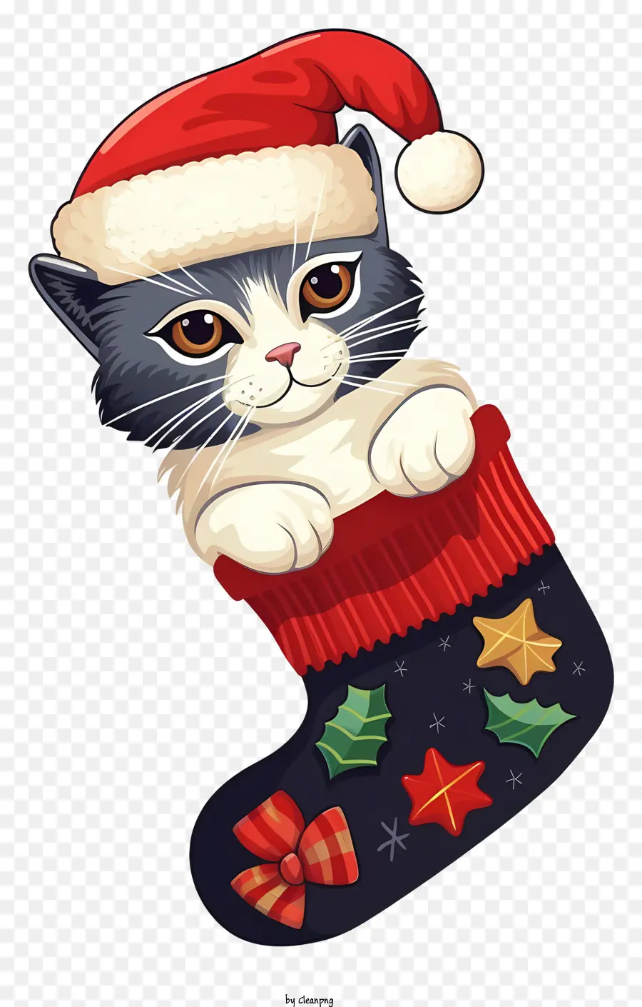 Chat Réaliste Dans Une Chaussette De Noël，Chat En Bas PNG