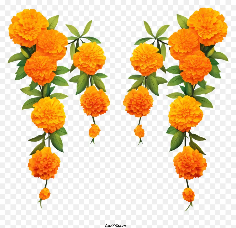 Guirlande De Fleurs Soutenues à La Main，Marigolds D'orange PNG